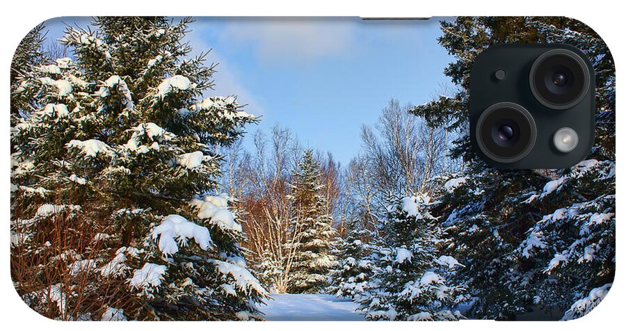 Winter iPhone Case featuring the photograph Winter Scenery by Teresa Zieba