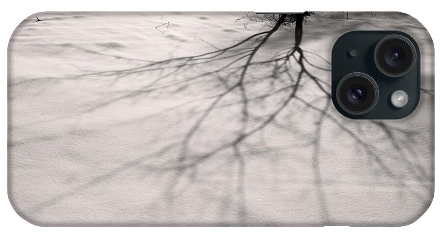 Shadow iPhone Case featuring the photograph Winter by Stacy Abbott