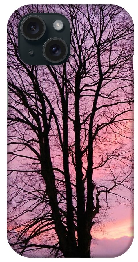 Sunset iPhone Case featuring the photograph Winter Sunset by Gallery Of Hope 