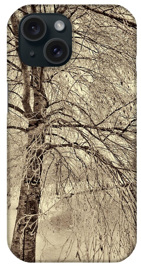 Winter iPhone Case featuring the photograph Winter Tree by Bonnie Bruno