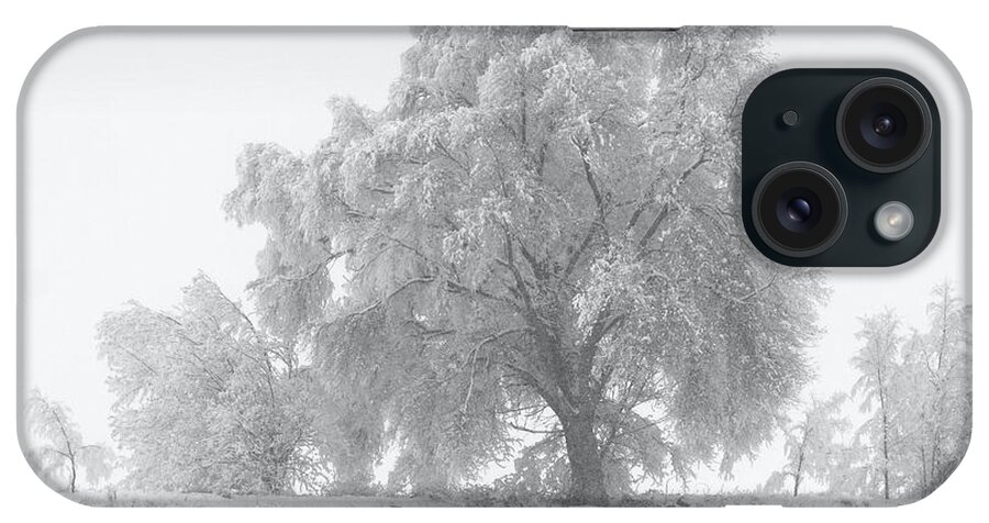 Black And White iPhone Case featuring the photograph Winter Tree by David Andersen
