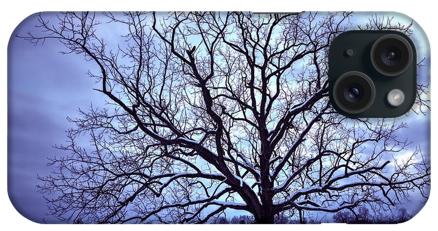 Tree iPhone Case featuring the photograph Winter Twilight Tree by Jaki Miller