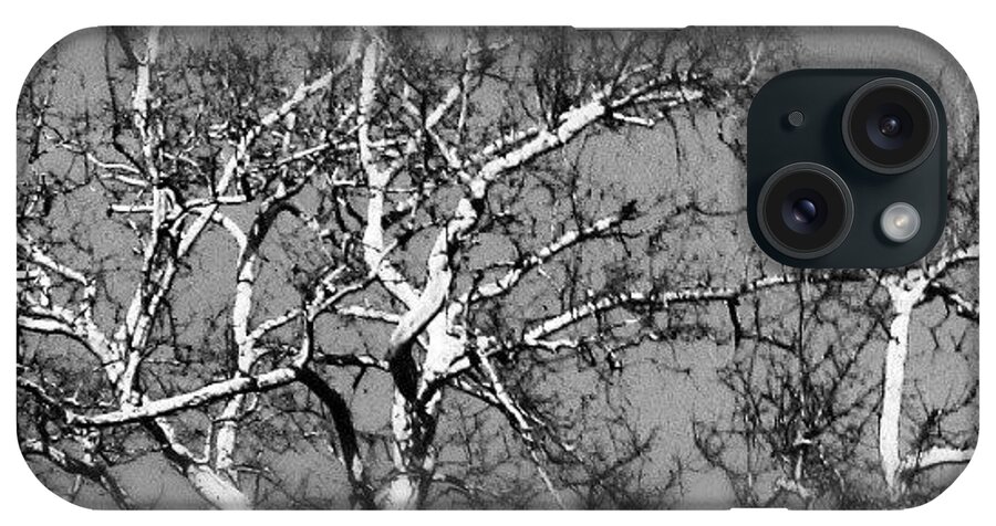 Beautiful iPhone Case featuring the photograph #winter #webstagram #tree #tagstagram by Frank Quinde