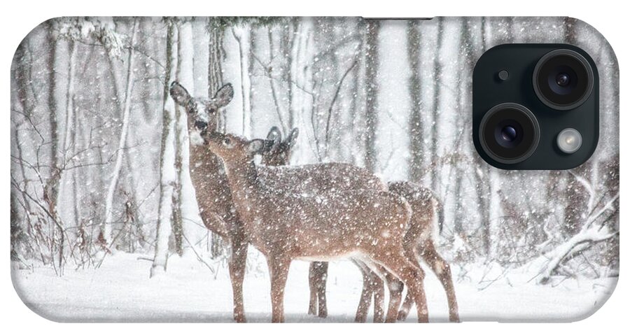 Deer iPhone Case featuring the photograph Winters Love by Karol Livote
