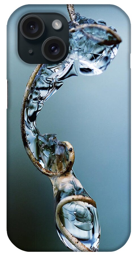Winter iPhone Case featuring the photograph Winter's Snare by Michelle Ayn Potter