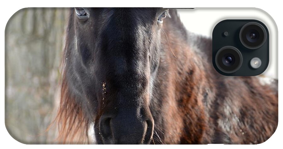 Horse iPhone Case featuring the photograph Winter's Whiskers by Linda Mishler