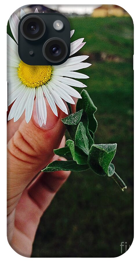 Daisy iPhone Case featuring the photograph Wish I May by Ella Kaye Dickey