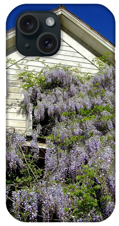 Wisteria iPhone Case featuring the photograph Wisteria Cascading by Everett Bowers