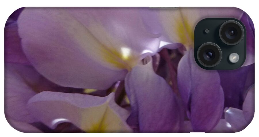 Purple iPhone Case featuring the photograph Wisteria Duo by Claudia Goodell