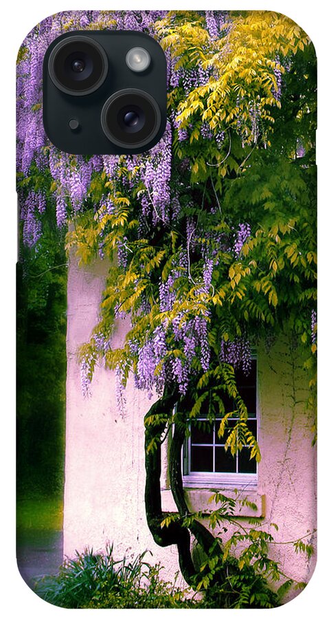 Spring iPhone Case featuring the photograph Wisteria Tree by Jessica Jenney