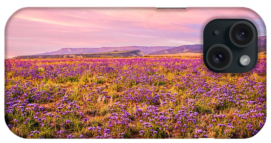 Wildflowers iPhone Case featuring the photograph Wildflower Sunset by Rick Wicker