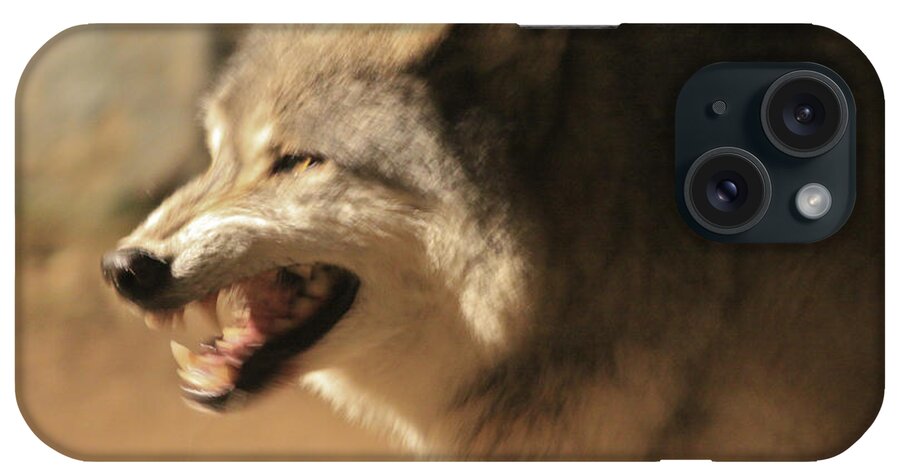 Wolf iPhone Case featuring the photograph Wolf Power by Kate Purdy