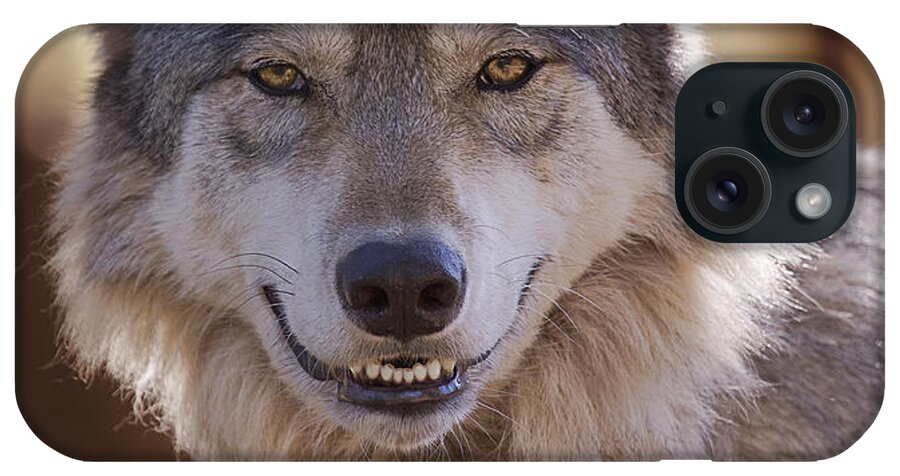 Animal iPhone Case featuring the photograph Wolf's Smile by Brian Cross