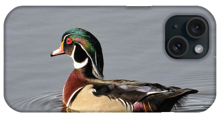 Wood Duck iPhone Case featuring the photograph Wood Duck by David Armstrong
