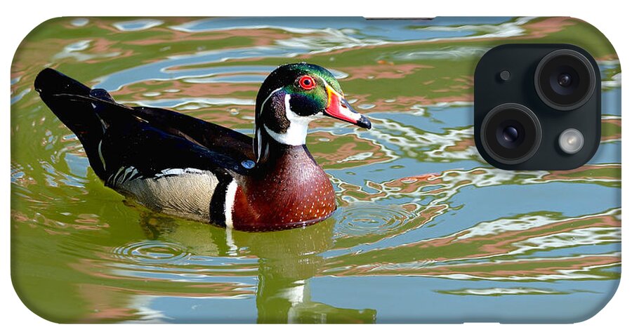 Wood Duck iPhone Case featuring the photograph Wood Duck by Kathy King