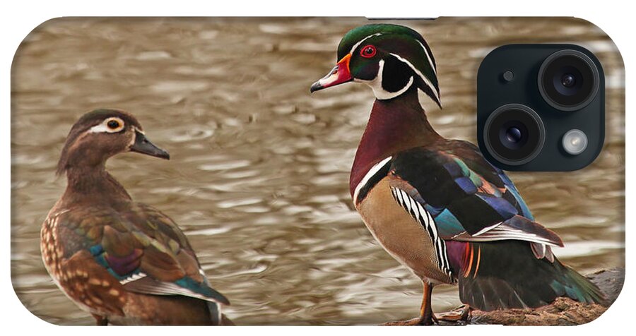 Wood Duck Photos iPhone Case featuring the photograph Wood Duck Photo by Luana K Perez