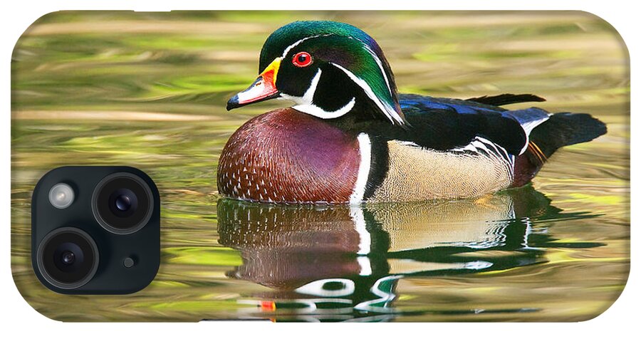 Wood Duck And Reflection iPhone Case featuring the photograph Wood Duck by Ram Vasudev