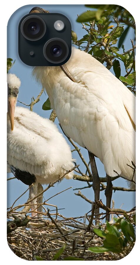 Animal iPhone Case featuring the photograph Wood Stork Adult With Young, Preening by Millard H. Sharp