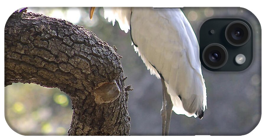 Wood Stork iPhone Case featuring the photograph Wood Stork at Magnolia Cemetery  tery by Jeanne Juhos