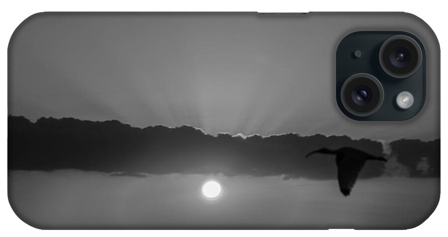 Sunset iPhone Case featuring the photograph Wood Stork in the Sunset B W by George Kenhan