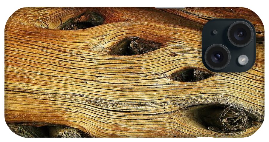 Juniper Wood iPhone Case featuring the photograph Wooden Eyes by Michele Penner