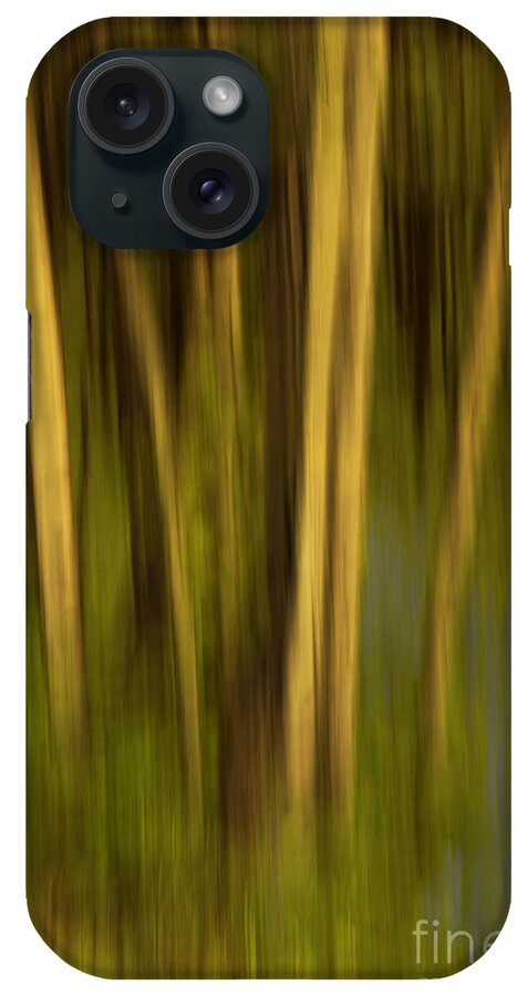 Woodland Tapestry iPhone Case featuring the photograph Woodland Tapestry by Sandi Mikuse