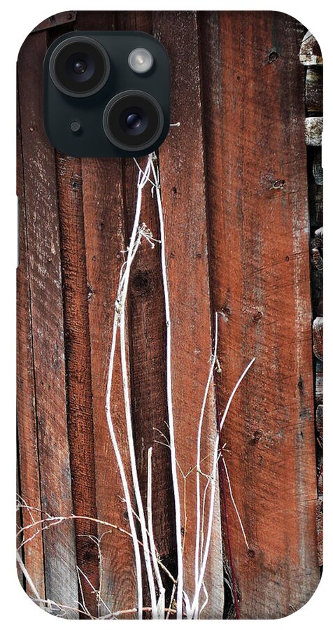 Old Building iPhone Case featuring the photograph WoodShed by Susan Kinney