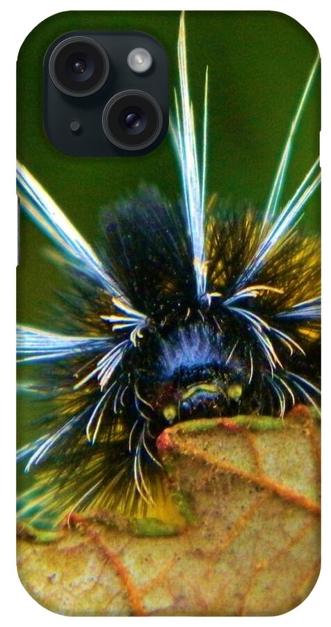 Nature iPhone Case featuring the photograph Woolly Bear Up Close by Gallery Of Hope 
