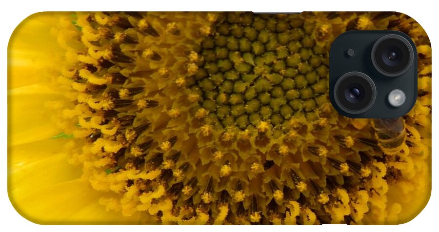 Honey Bee Caught Working And Loading Up With Pollen All Over Him While On The Bright Yellow iPhone Case featuring the photograph Working Honey Bee by Belinda Lee