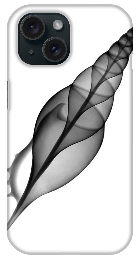 Radiograph iPhone Case featuring the photograph X-ray Of Tibia Shell by Bert Myers