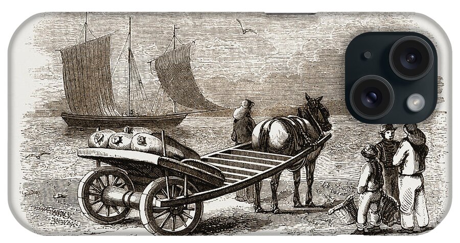 Yarmouth iPhone Case featuring the drawing Yarmouth Beach-cart With Fish by Litz Collection