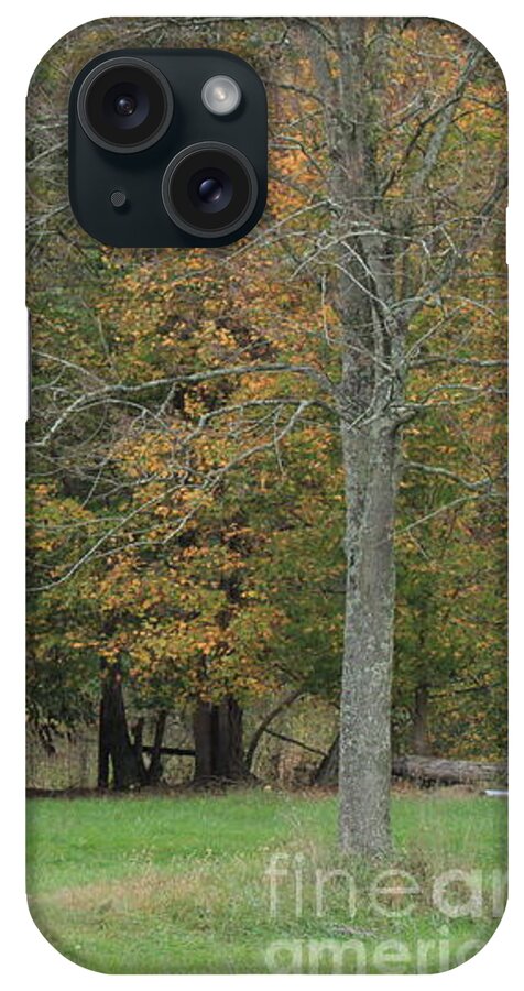  Wood Trees iPhone Case featuring the photograph Ye old cabin in the fall by Jennifer E Doll