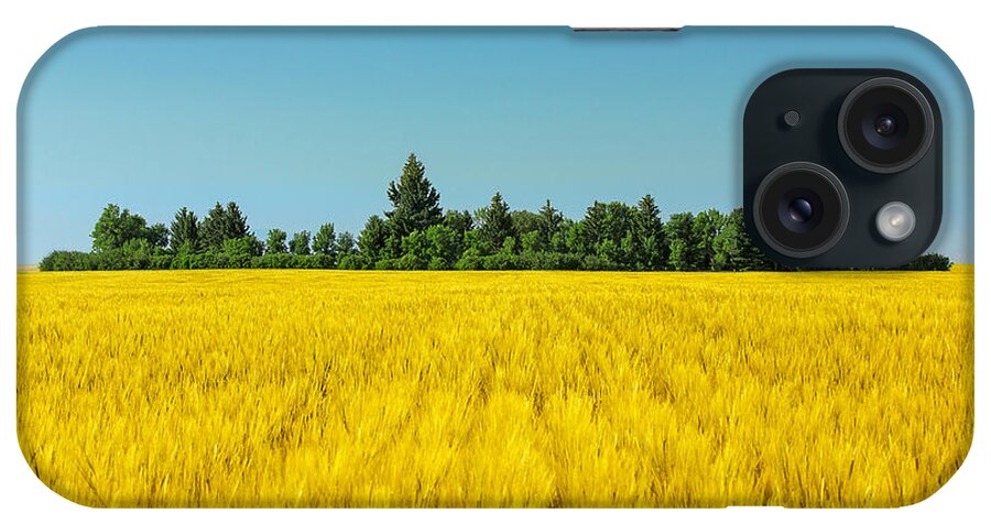 Field iPhone Case featuring the photograph Yellow and Blue Make Green by Todd Klassy