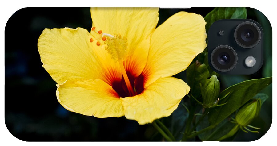 Botanic iPhone Case featuring the photograph Yellow and Red Hibiscus by Christi Kraft