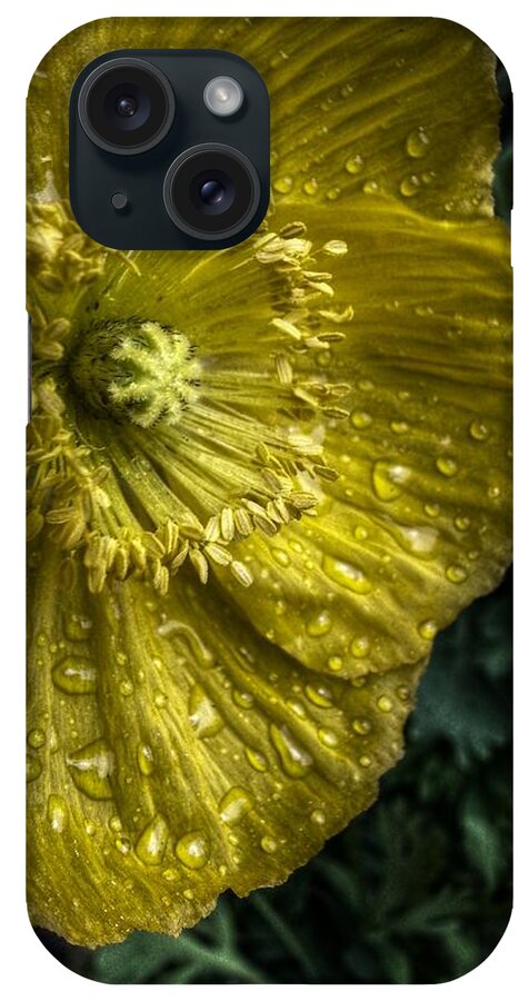  Yellow Flowers iPhone Case featuring the digital art Yellow Beauty by Linda Unger