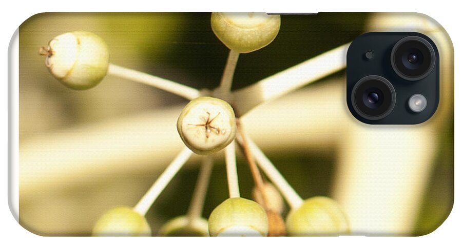 Berries iPhone Case featuring the photograph Yellow Berries by Artist and Photographer Laura Wrede