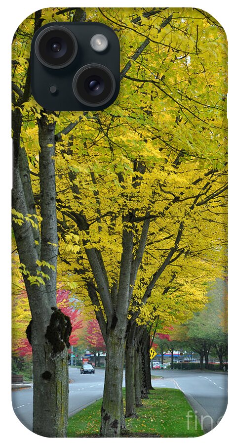 Yellow iPhone 15 Case featuring the photograph Yellow Trees by Kirt Tisdale