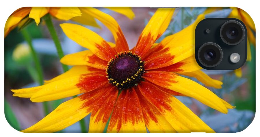 Flowers iPhone Case featuring the photograph Yellow Burst by Allen Beatty