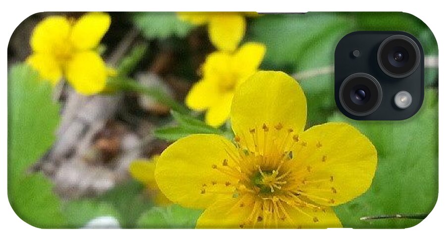 Sooc iPhone Case featuring the photograph Yellow Buttercups #yellowflowers by Heather Hogan