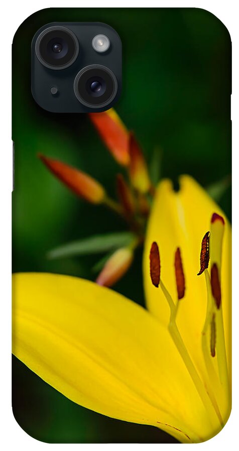Flowers iPhone Case featuring the photograph Yellow Lily by Robert Mitchell