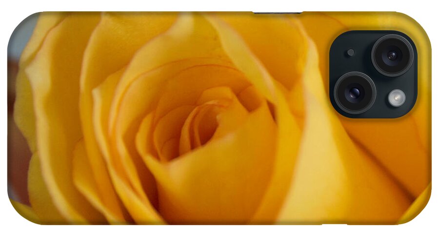 Flowers. Flower. Floral. Garden iPhone Case featuring the photograph Yellow Rose by Arlene Carmel
