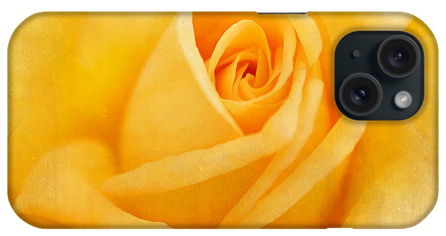 Friendship iPhone Case featuring the photograph Yellow Rose by Darren Fisher