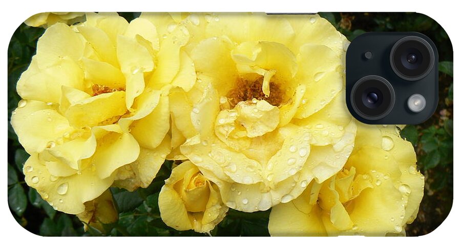 Rose iPhone Case featuring the photograph Yellow Rose of PA by Michael Porchik