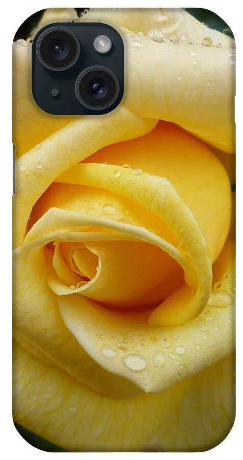 Floral iPhone Case featuring the photograph Yellow Rose Say GoodBye by Lingfai Leung