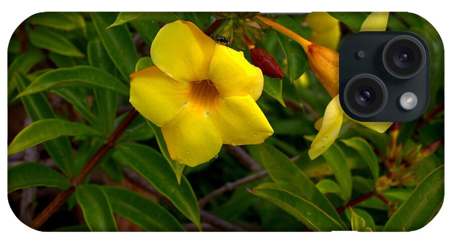 Botanical iPhone Case featuring the photograph Yellow Trumpets by Mindy Newman