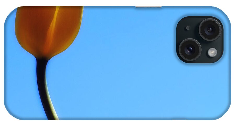 Nature iPhone Case featuring the photograph Yellow Tulip Blue Heaven by Joseph Hedaya