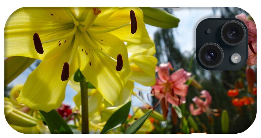 Yellow Whopper iPhone Case featuring the photograph Yellow Whopper Lily 1 by Jacqueline Athmann