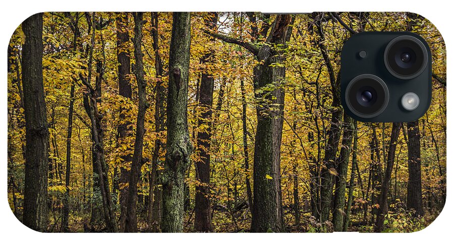 Fall Color iPhone Case featuring the photograph Yellow Woods on a Rainy Day by Karen Casey-Smith