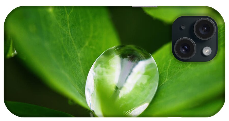 Water Drop iPhone Case featuring the photograph Yin Yang by Sue Capuano
