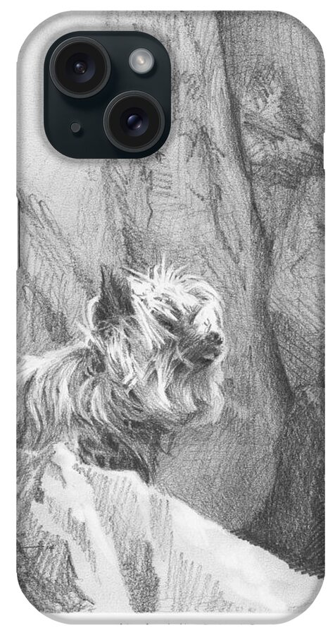 <a Href=http://miketheuer.com Target =_blank>www.miketheuer.com</a> Yorkie Dog On A Cliff Pencil Portrait iPhone Case featuring the drawing Yorkie Dog On A Cliff Pencil Portrait by Mike Theuer